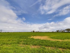 Farmland- click for photo gallery